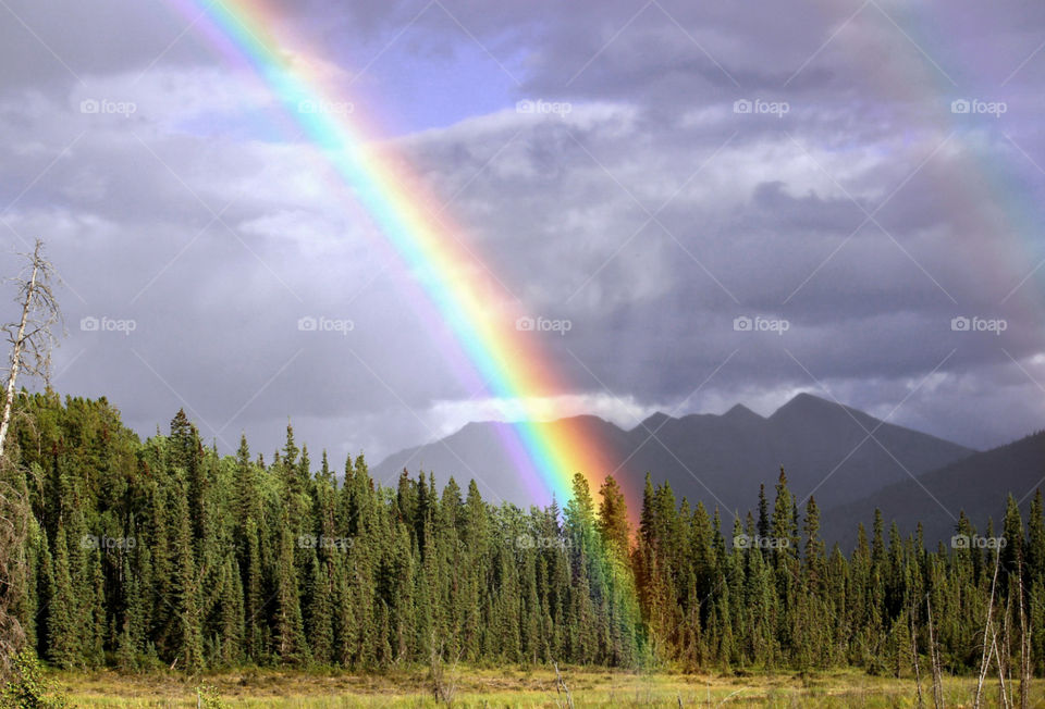 Rainbows and rain