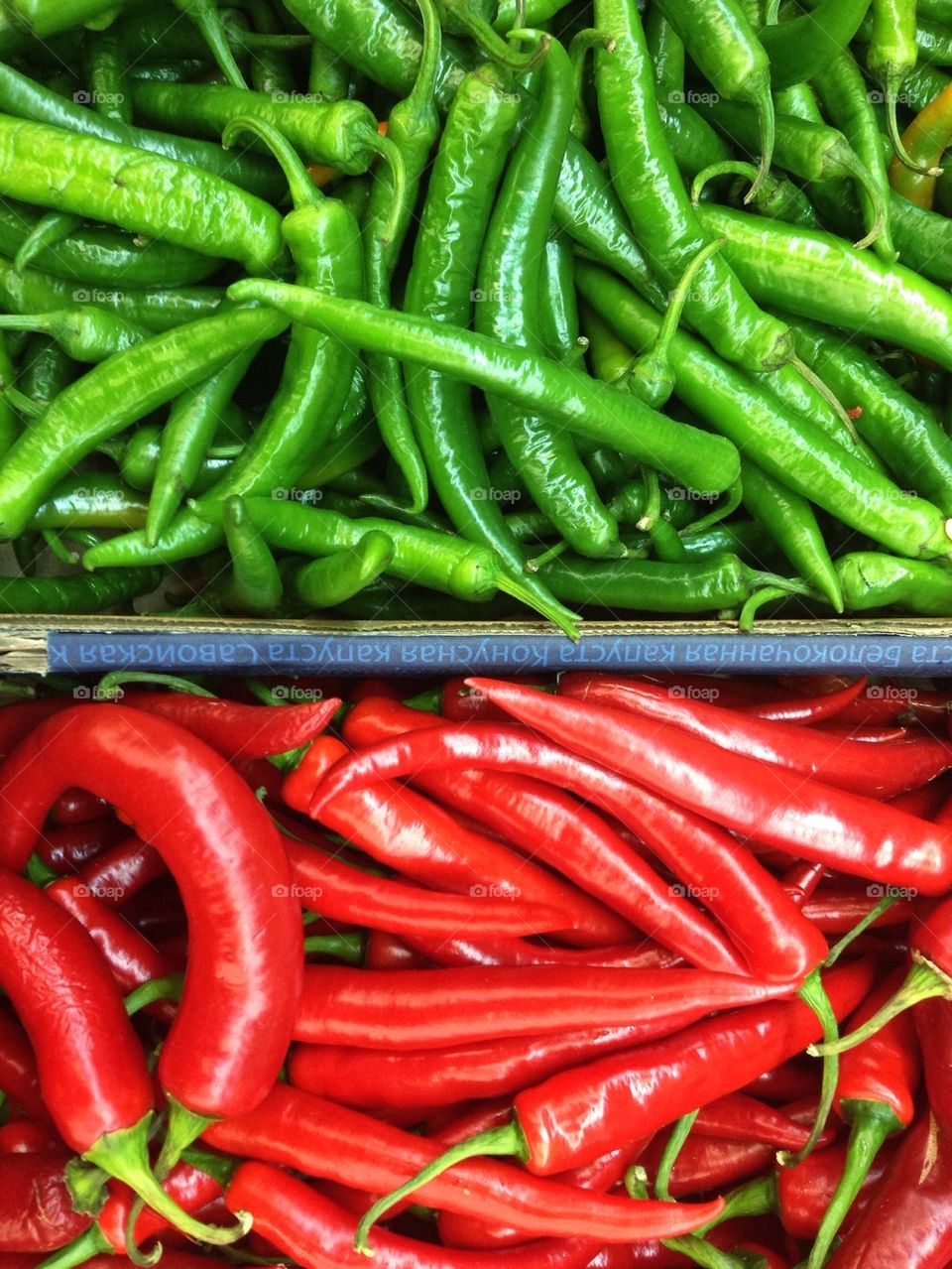 Close-up of green and red chilli