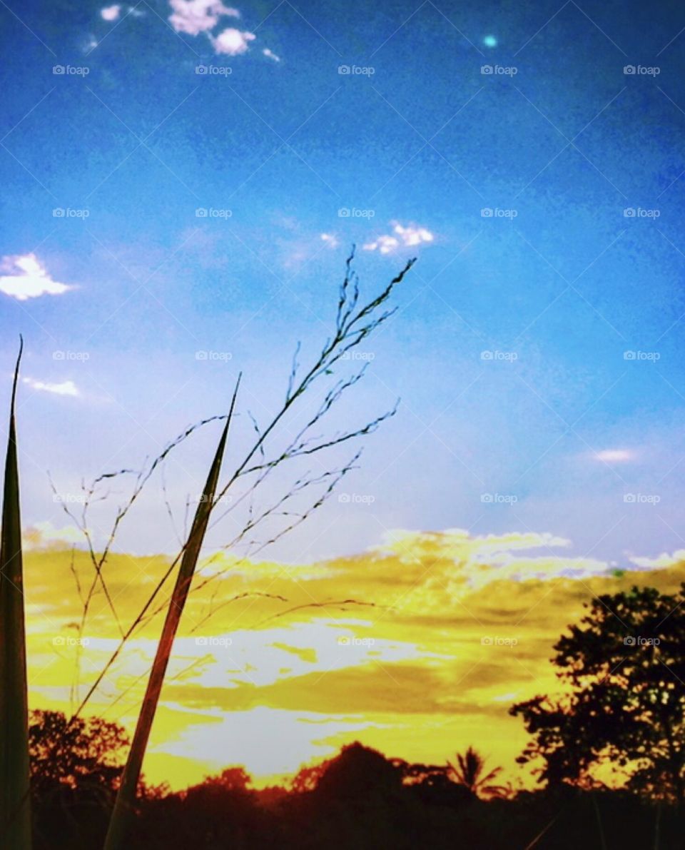 🌄🇺🇸 An extremely beautiful dawn in Jundiaí, interior of Brazil. Cheer the nature! / 🇧🇷 Um amanhecer extremamente bonito em Jundiaí, interior do Brasil. Viva a natureza!