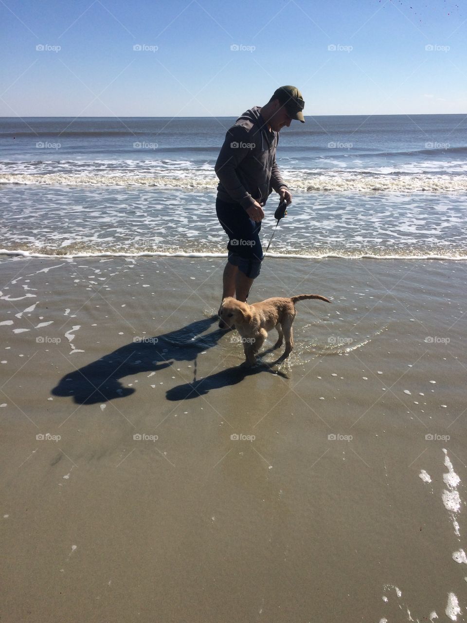 Puppy at beach.