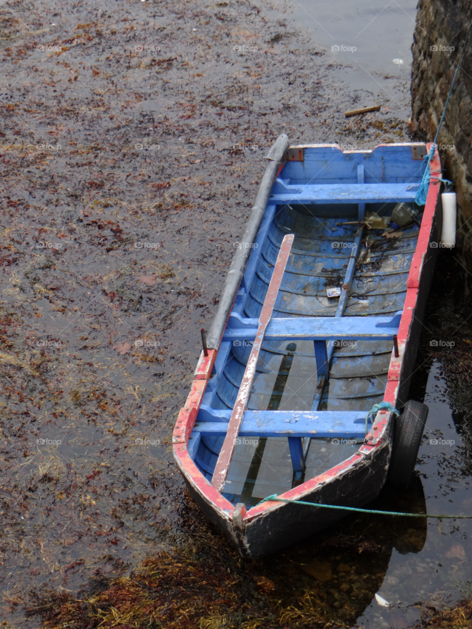 blue ireland red tyre by kshapley