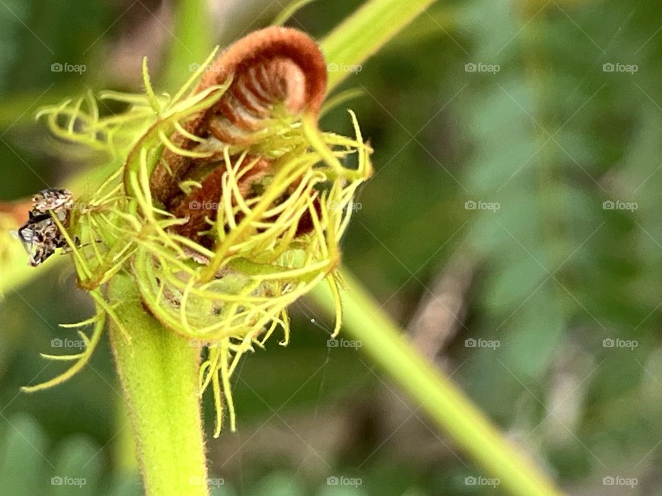📸Battle : Summer🌞 vs. Spring 🌸