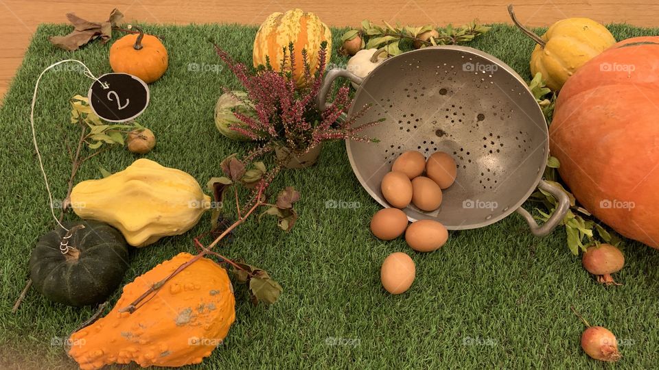 Pumpkins with eggs in green background 