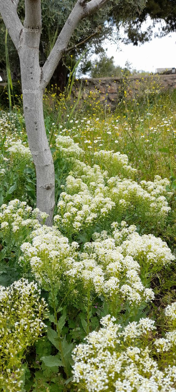 beautiful place in Jordan 🇯🇴