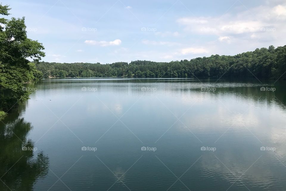 Williams Lake Pennsylvania 