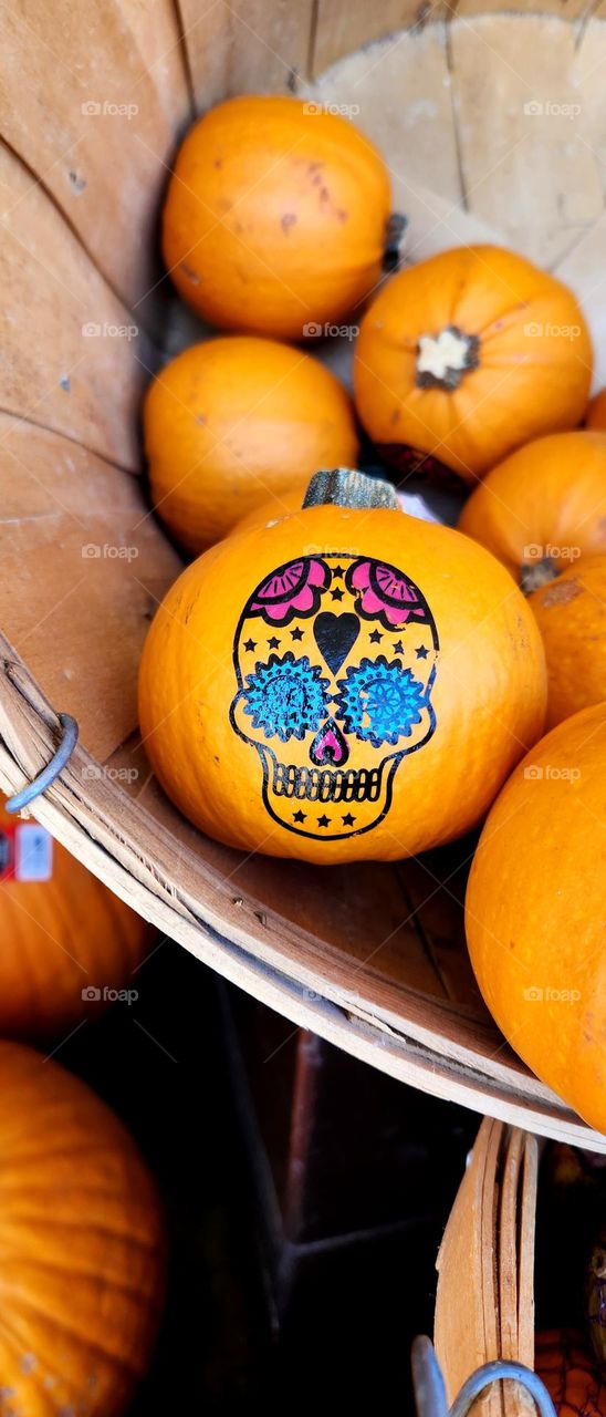 colorful Dia De Los Muertos (day of the dead) sugar skull art on small orange pumpkins for sale in front of a store in Oregon at the beginning of Autumn