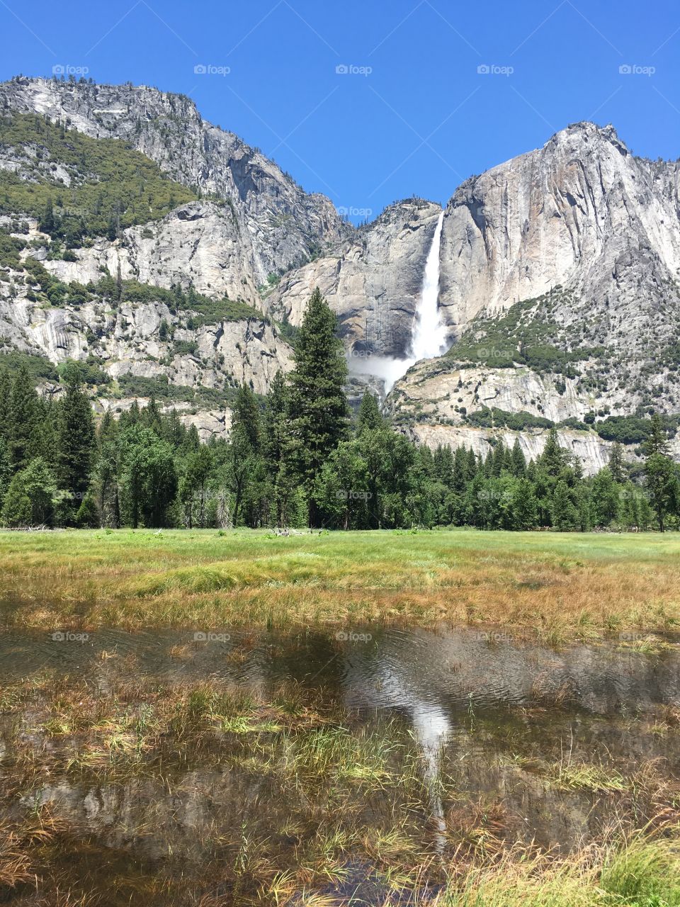 Yosemite Falls with reflection 