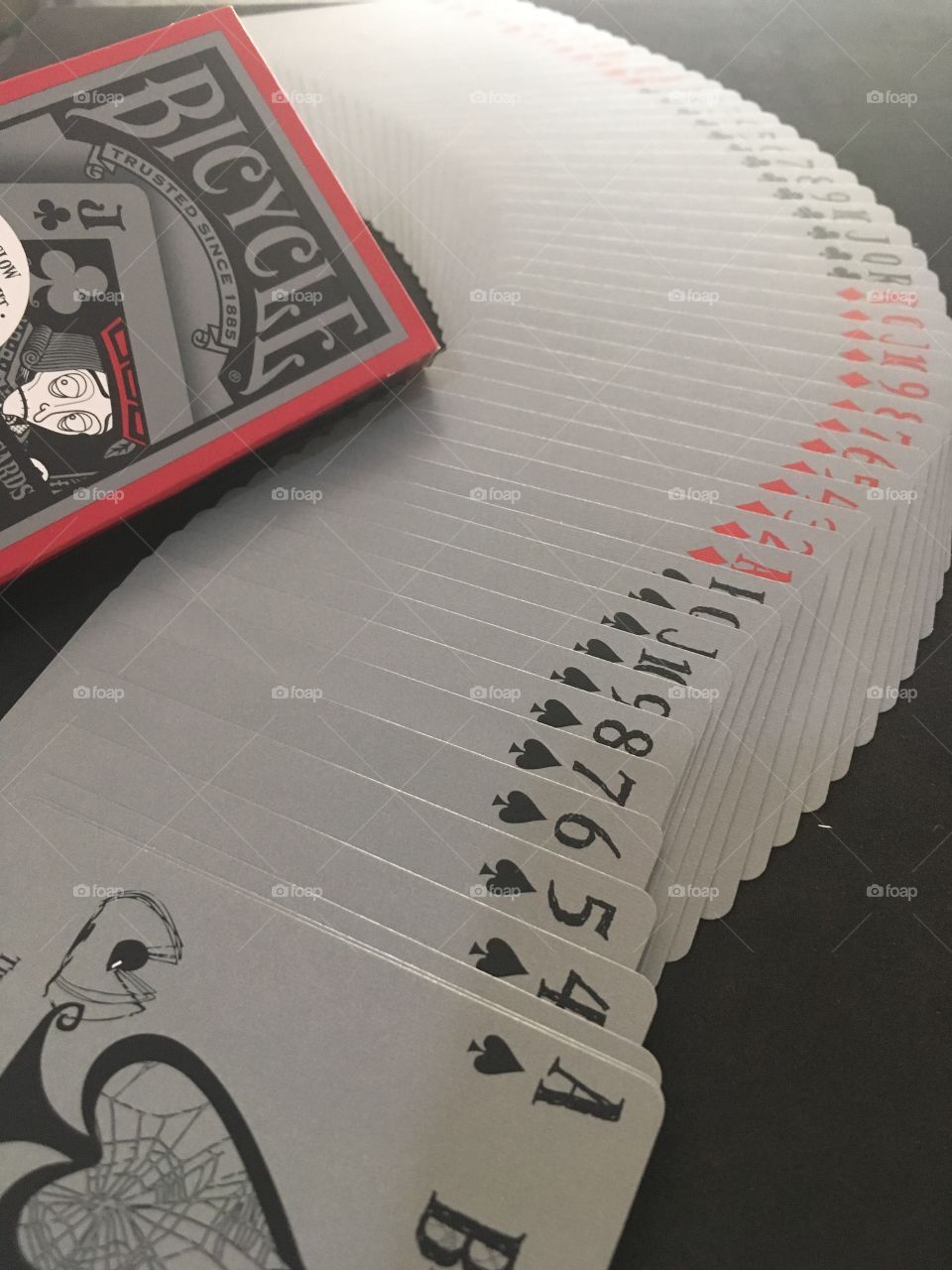 Bicycle Tragic Royality