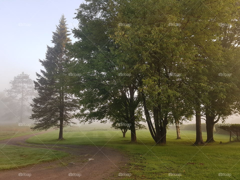A Foggy Morning