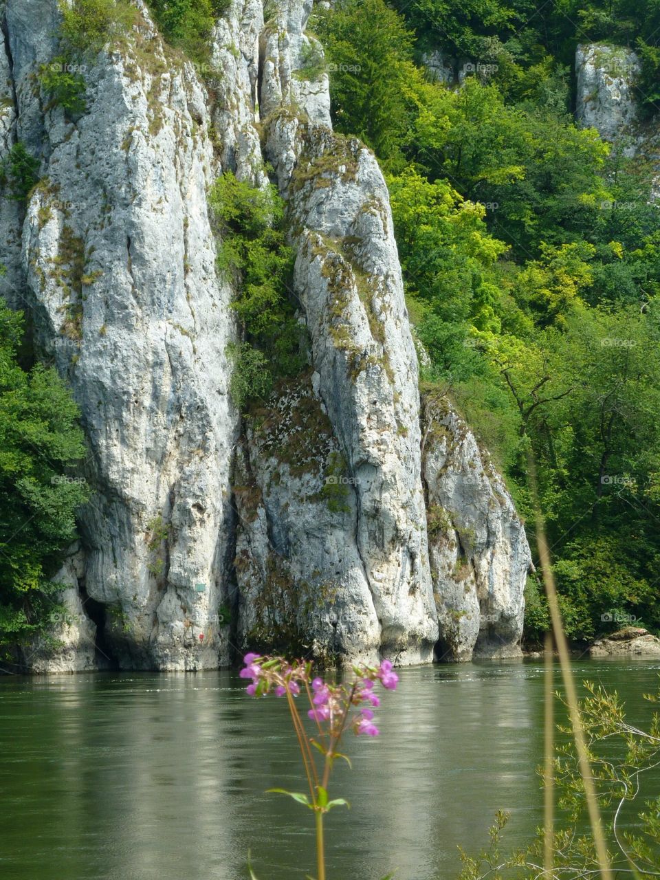 Danube River / Cliff