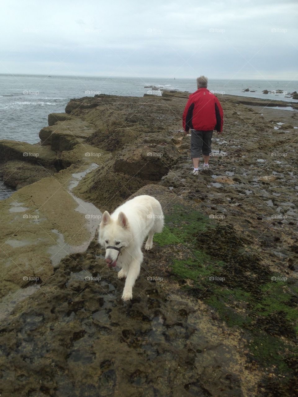 Sea cliff walk