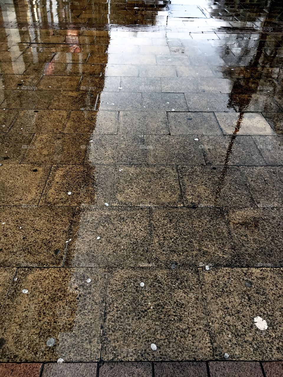 Reflections on wet pavement 