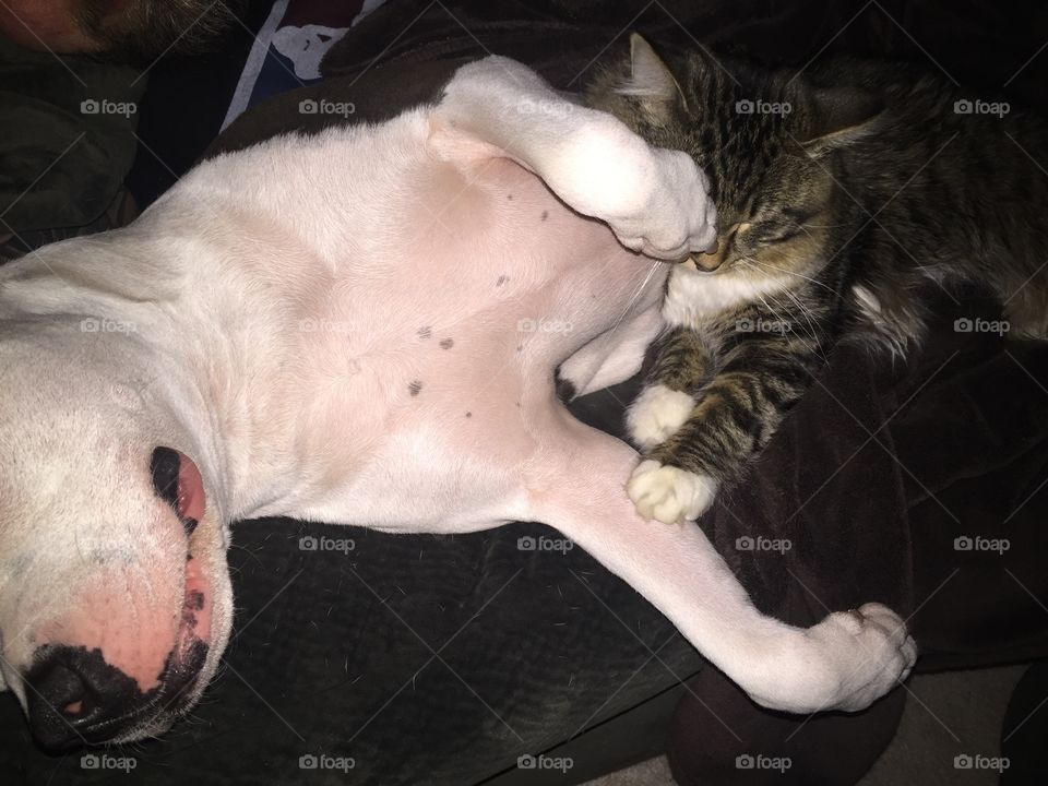 Nowhere else he'd rather be