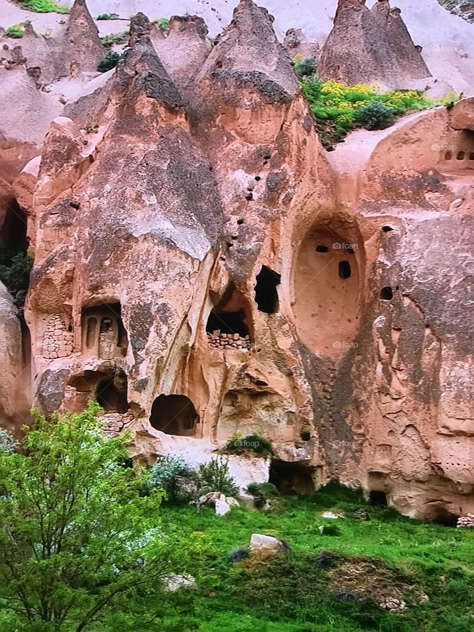 Awesome Turkey Mount