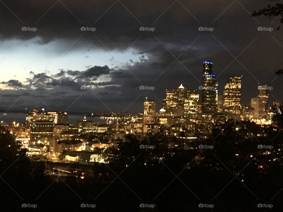 Downtown Seattle View from Beacon Hill