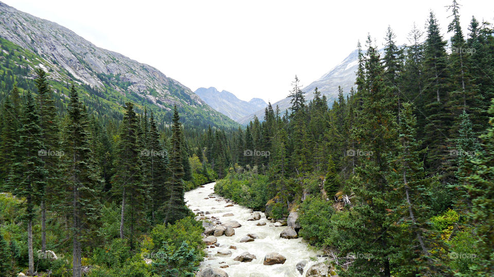 Glacier River, White Pass, Alaska. September 2013