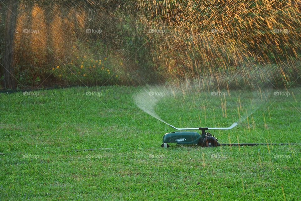 Orbit Sprinkler in Action 
