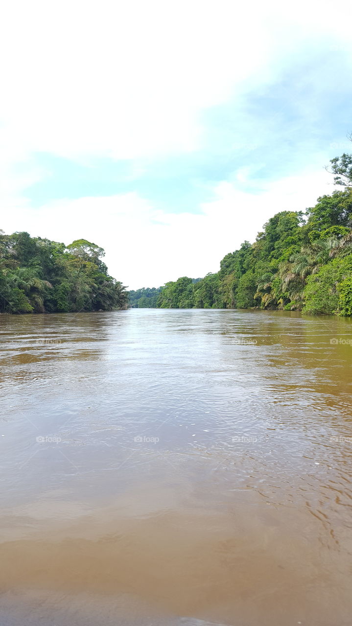 Tortuguero River, Costa Rica.