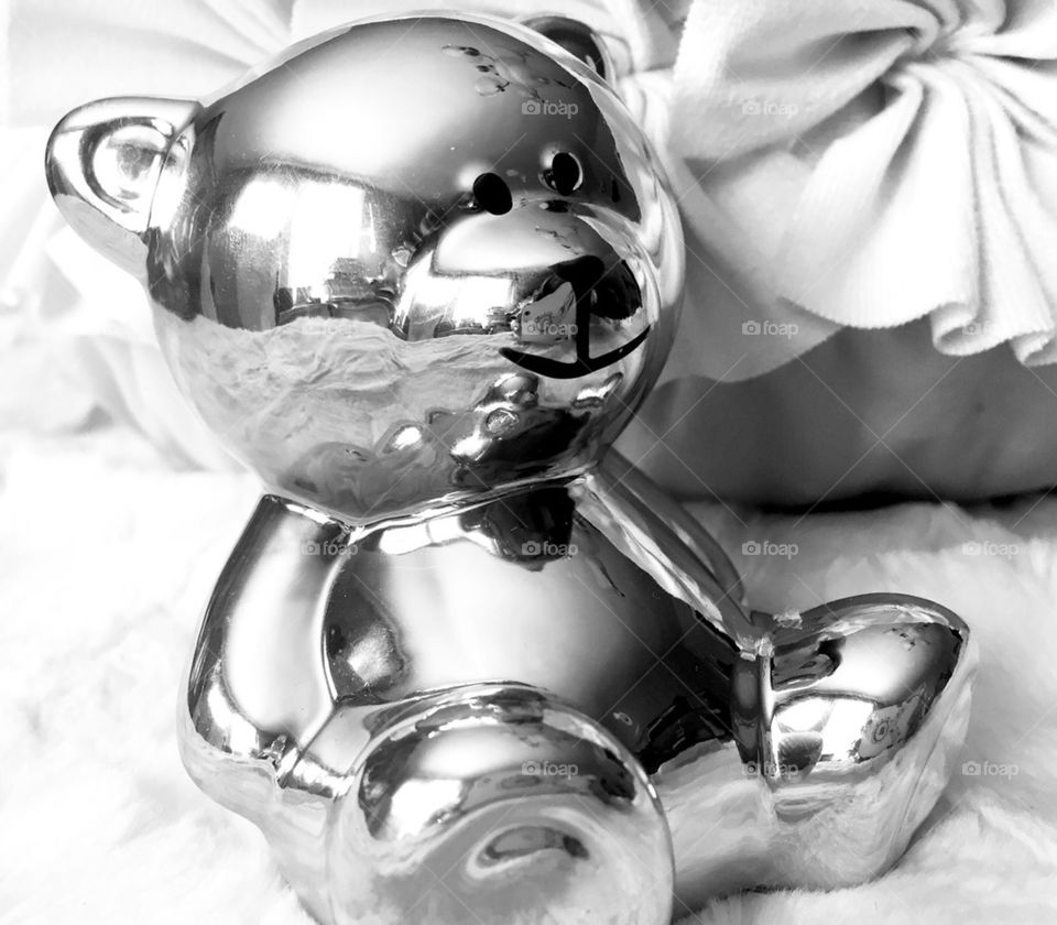 Teddy Bear Reflections 