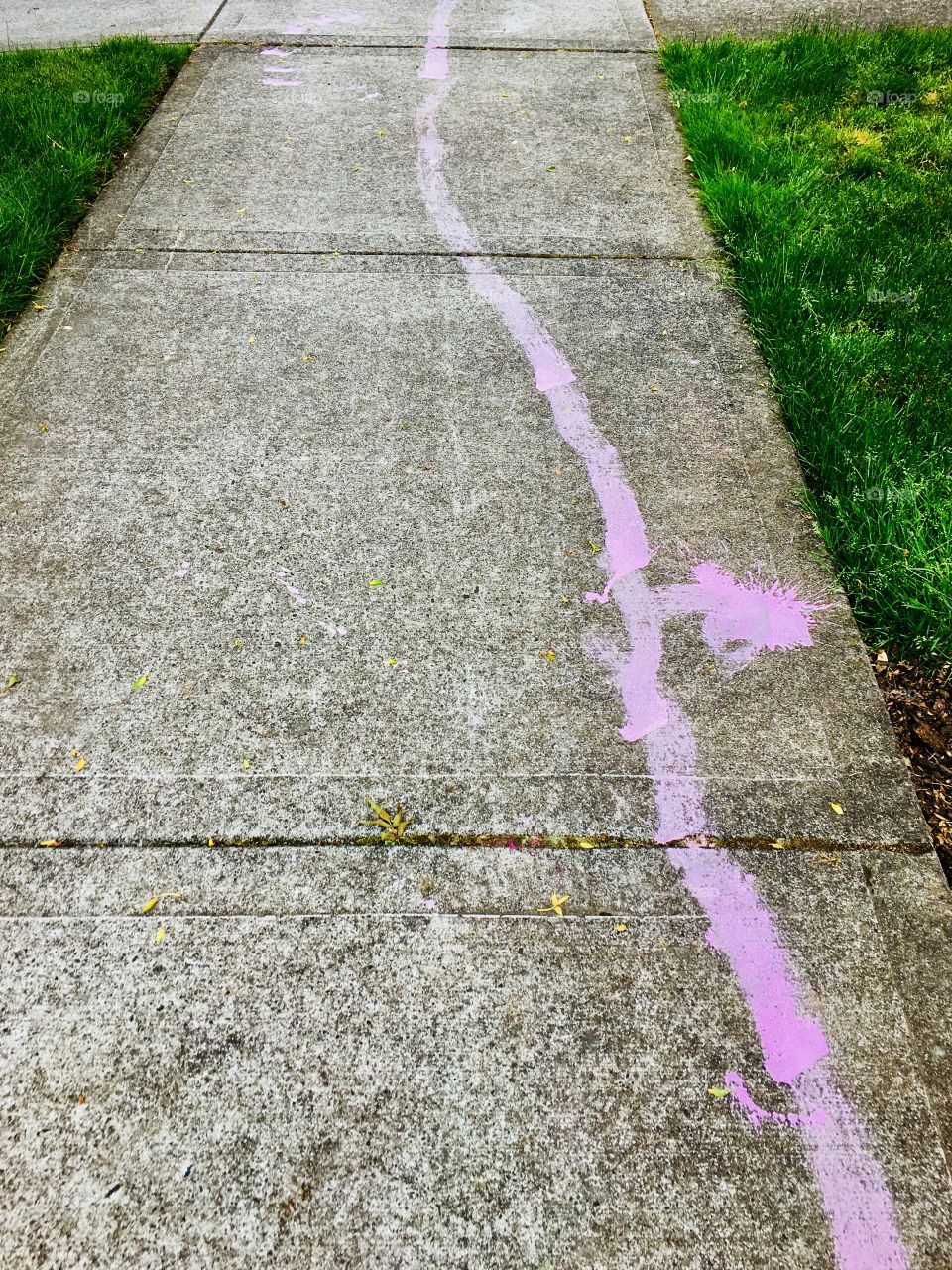 Paint trail 