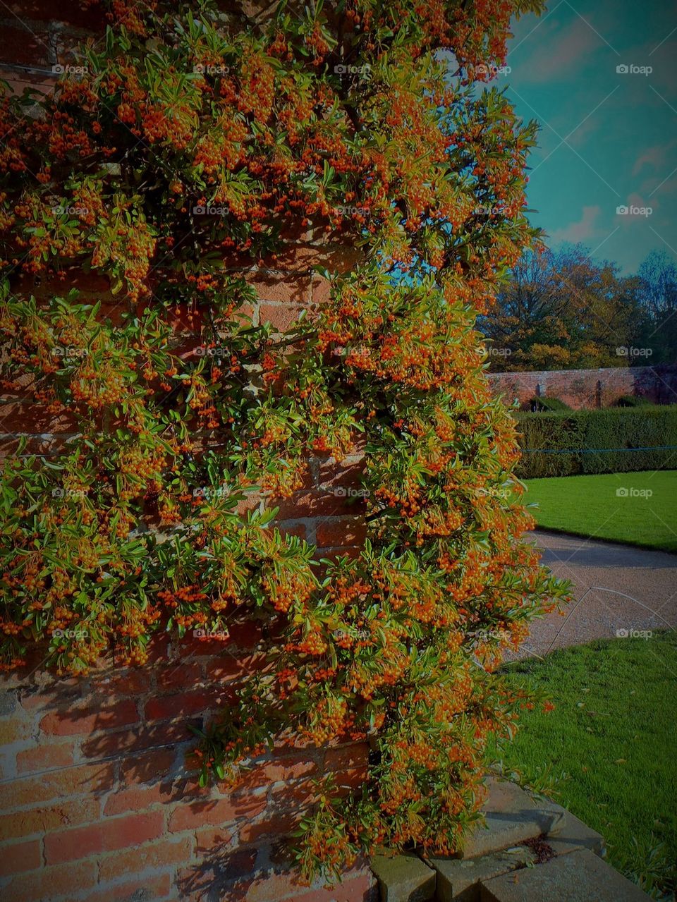 Autumn sun is not warm