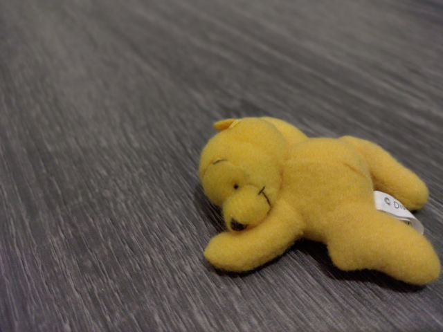 sleeping bear