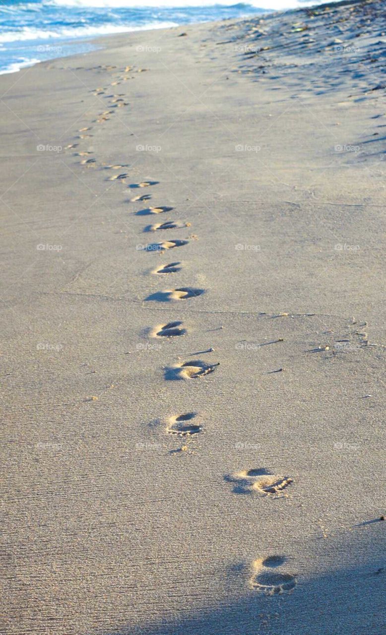 Walking along the beach