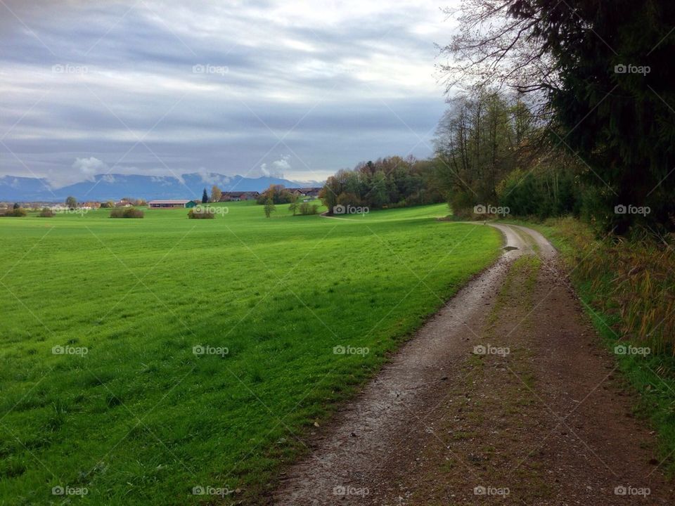 Landscape and dirtroad