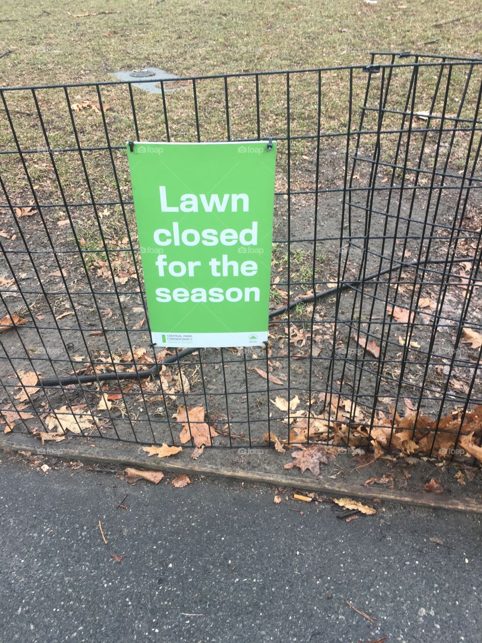 Irony in Central Park 