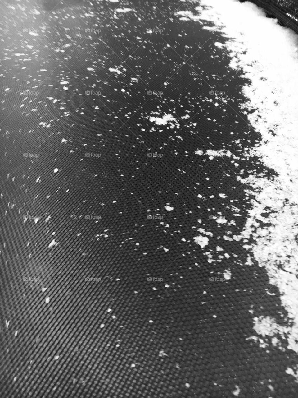 Snow on the Surface