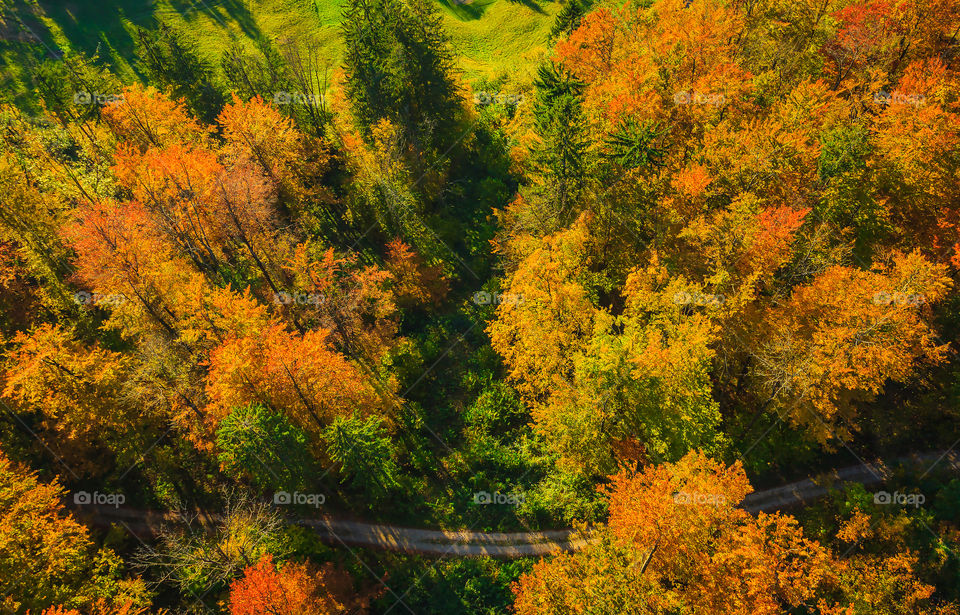 Autumn colors 