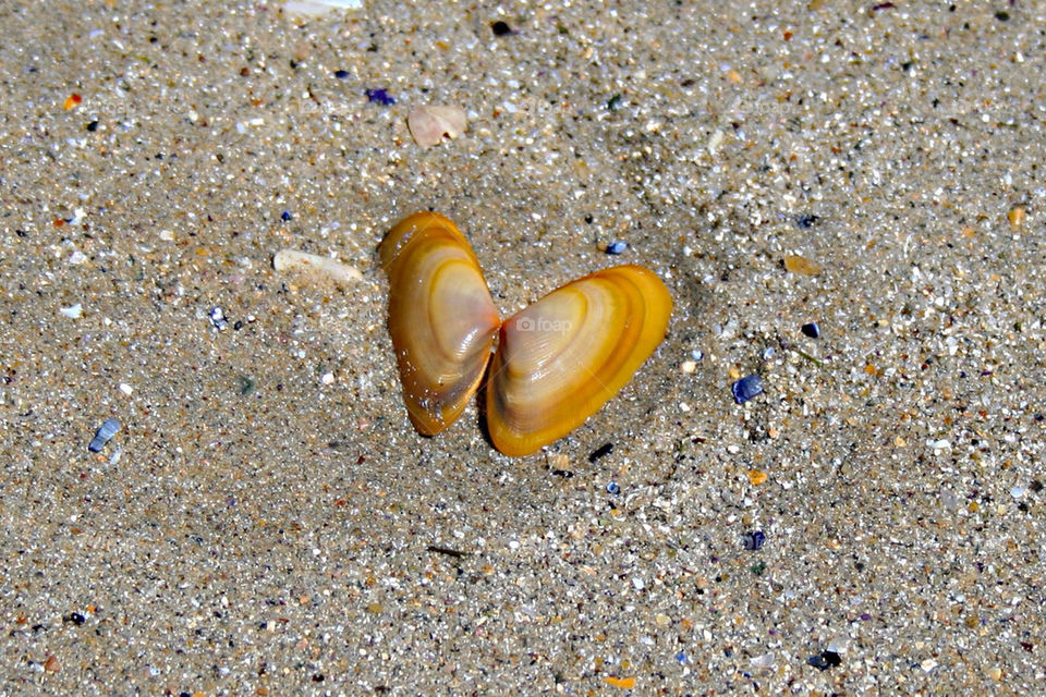 beach sand heart warm by thobbz