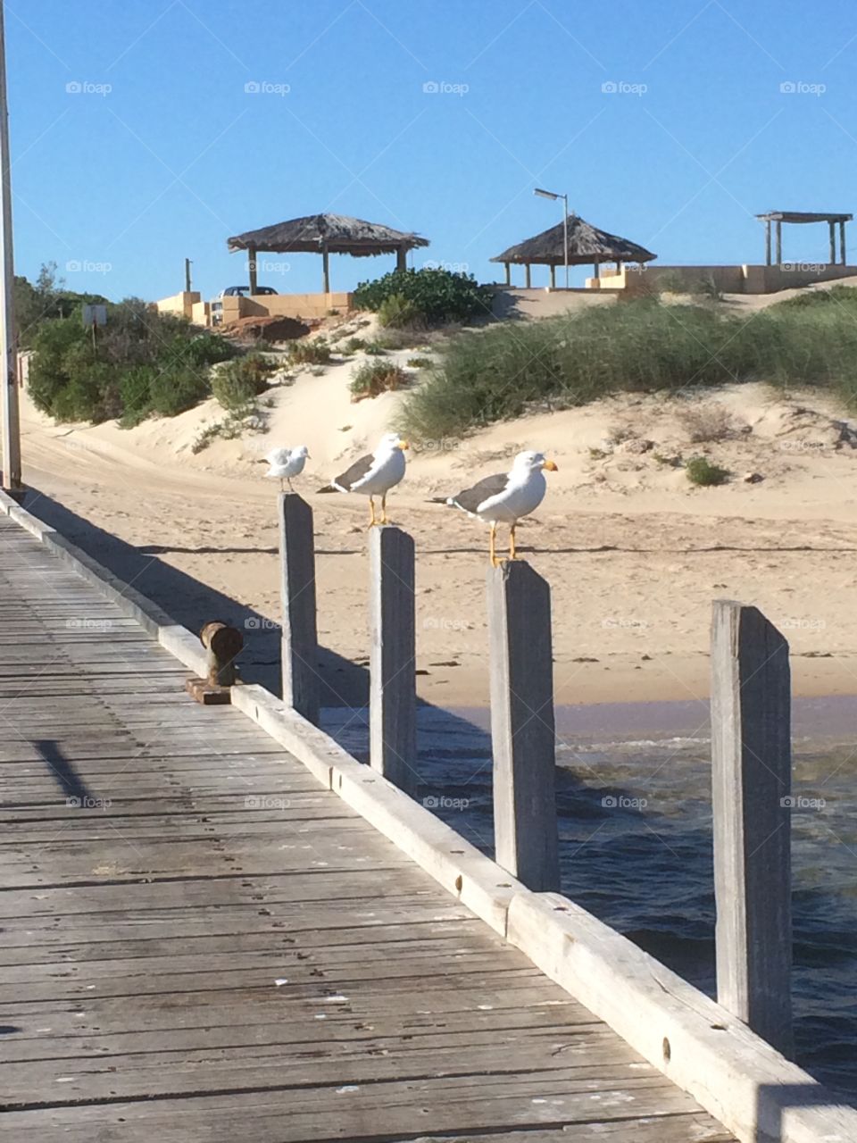 Port Gregory Jetty