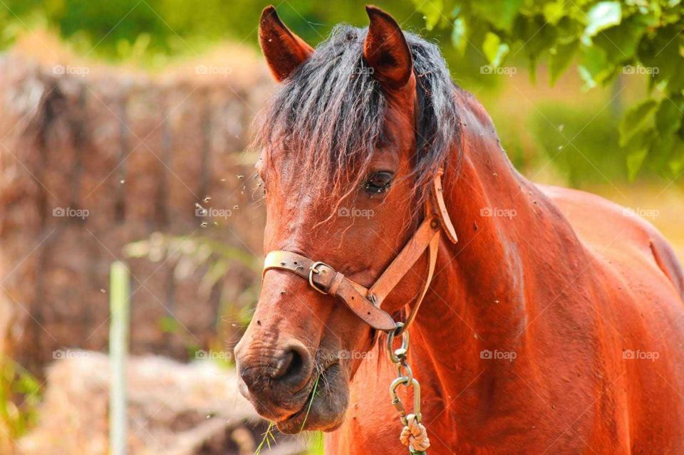 Moments freezed in photos!