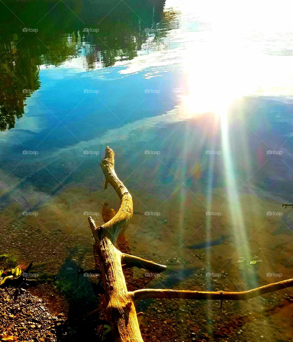 A log on the shoreline with sun rays reflecting from the lake.