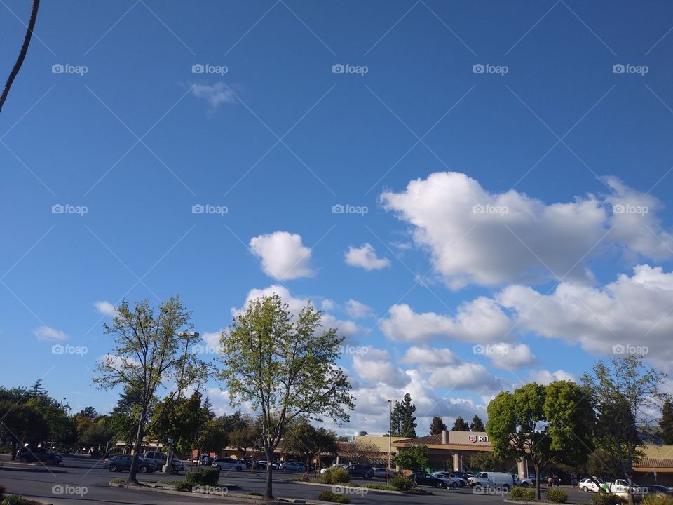 a little cloudy day here at the union city plaza area.Nice overall.Little windy but not bad at all.I had to see the blue sky in this pic.Thought i would get a nice pic of the sky.Good day in the Bay.