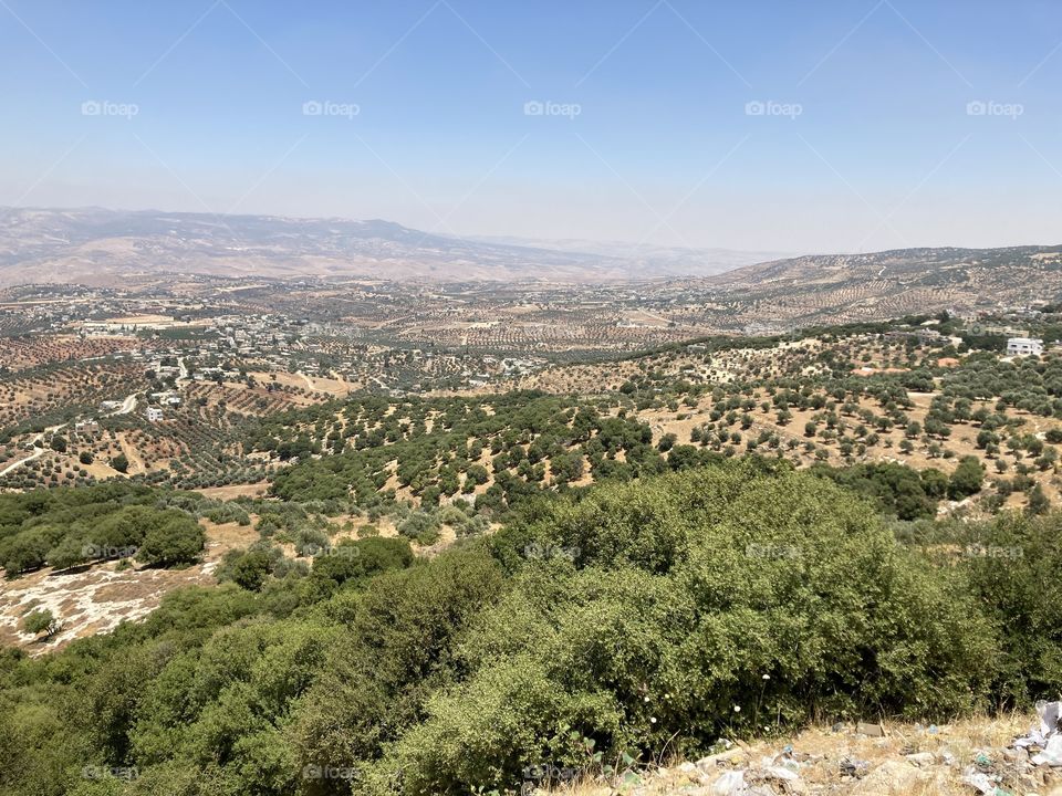 The nature in Jordan 