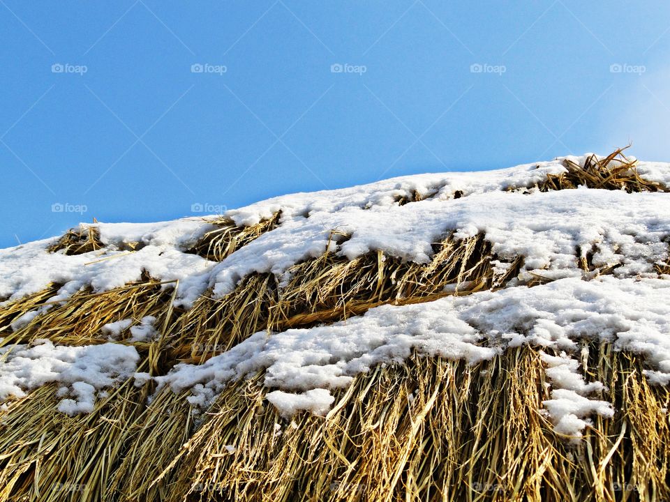 Snowy straw roof