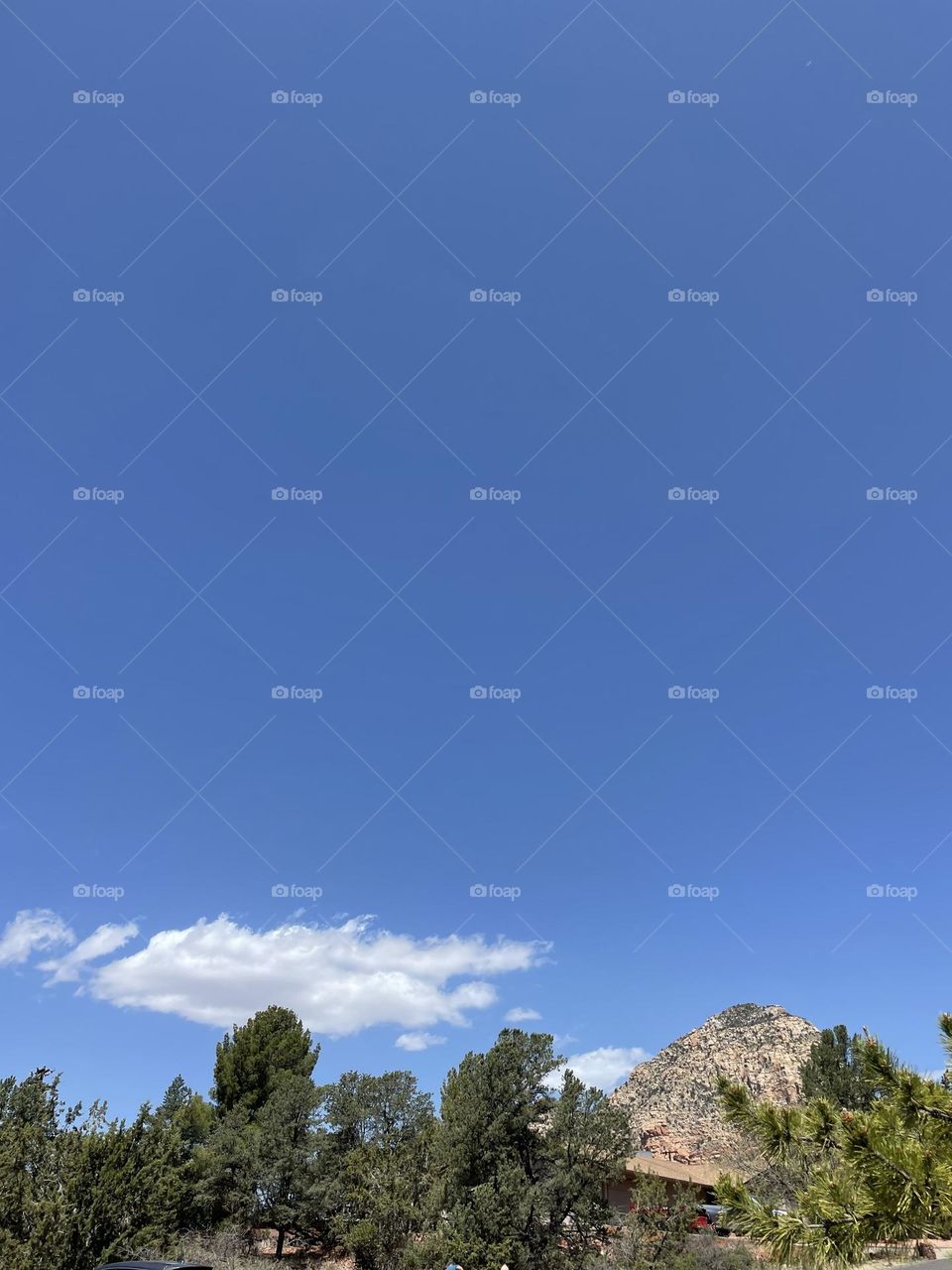 Blessings and beauty 