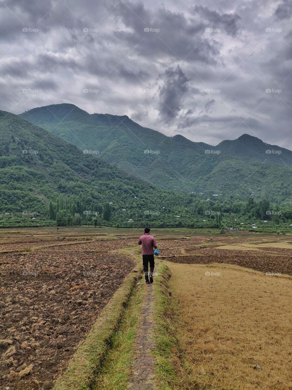 Man Walking In The Fields With Mountainous Landscape