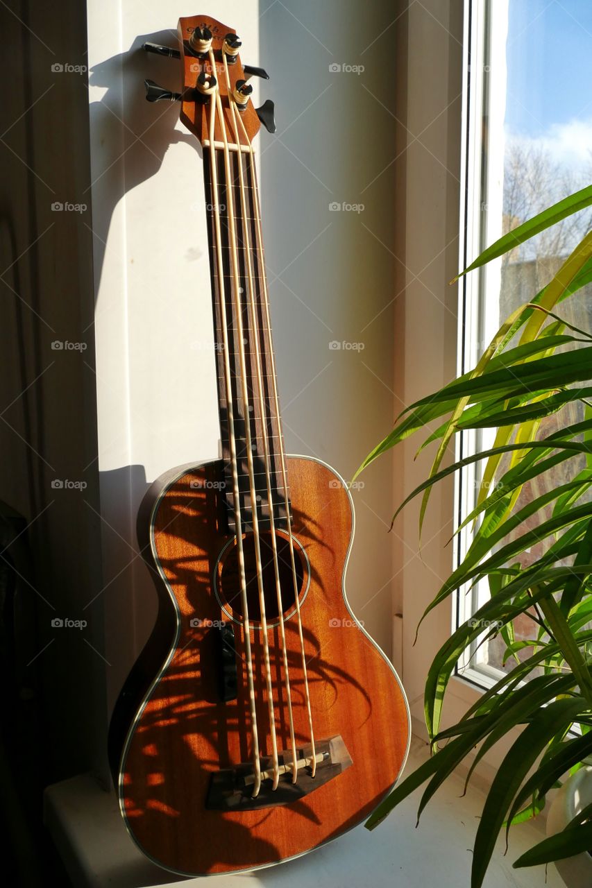 ukulele bass guitar