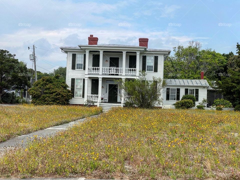 Flowers in the Front Yard 