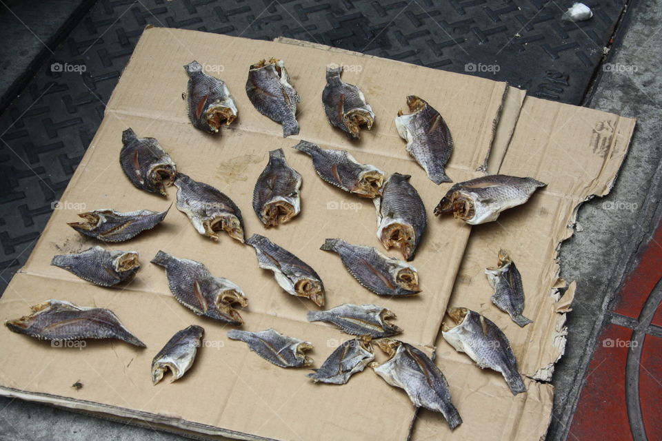 Fish on cardboard for drying
