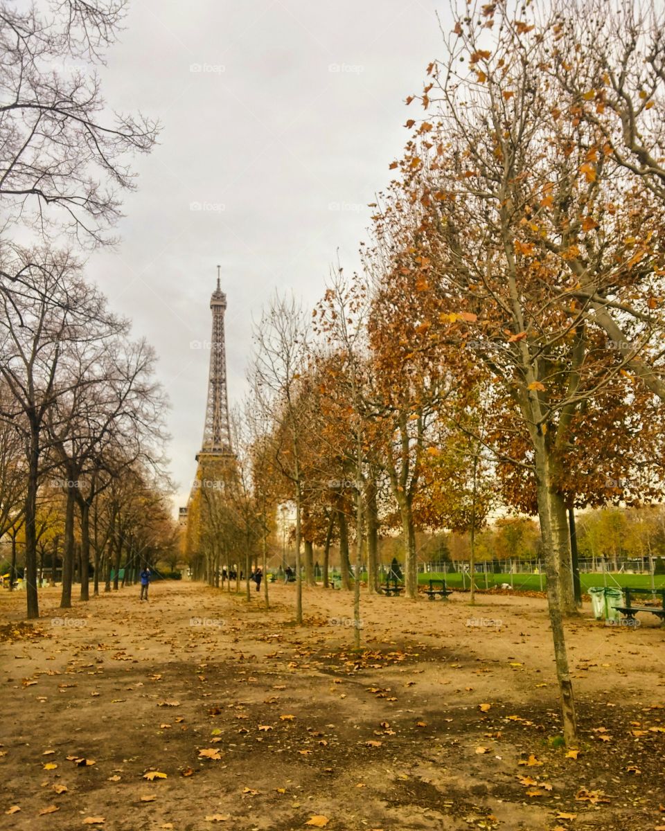 The Eiffel tower during the fall.