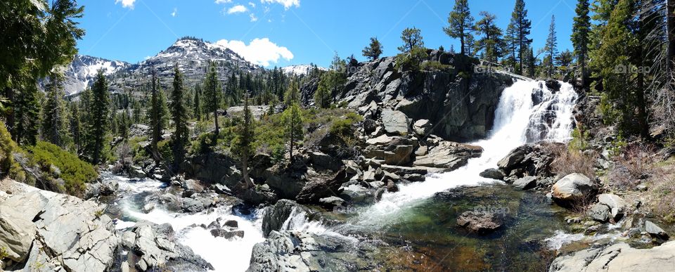 springtime in our Sierras!