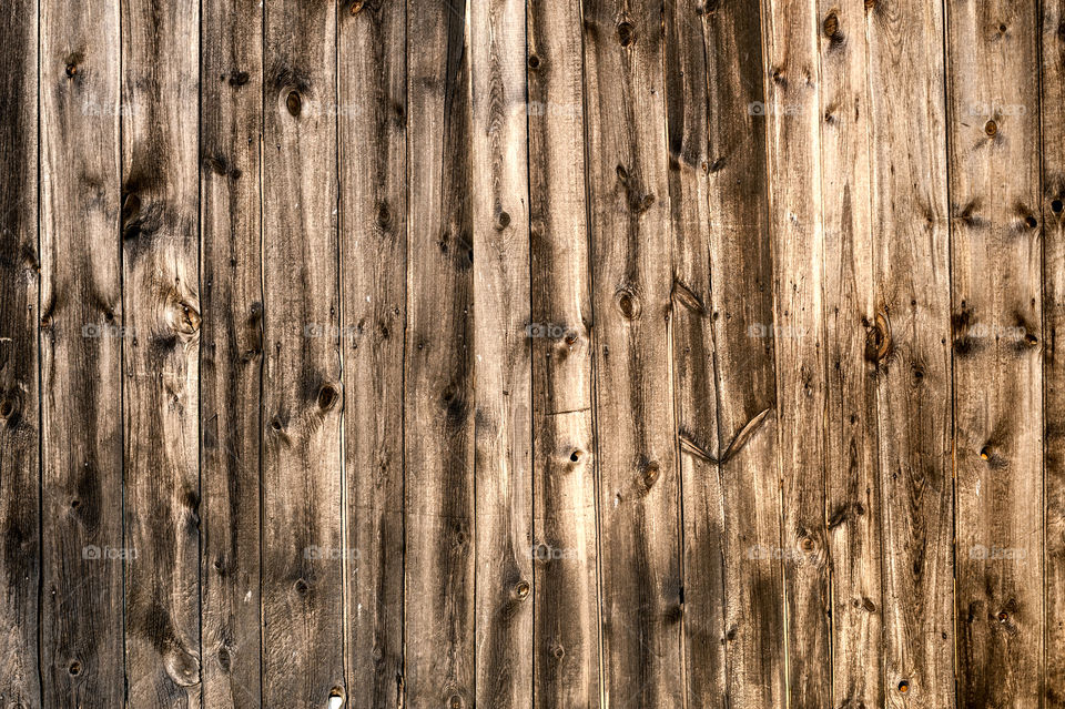 Old Fence