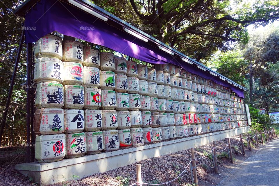 Postcard from Japan: The Path full of colors!