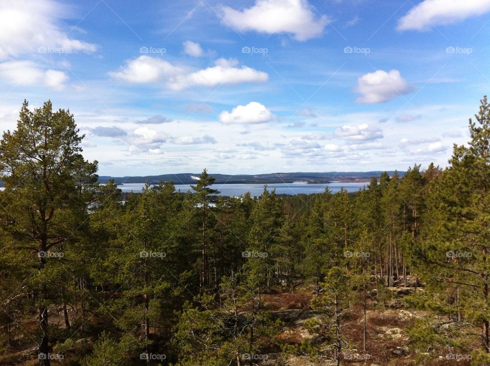 landscape sky green sweden by jonashallstrom