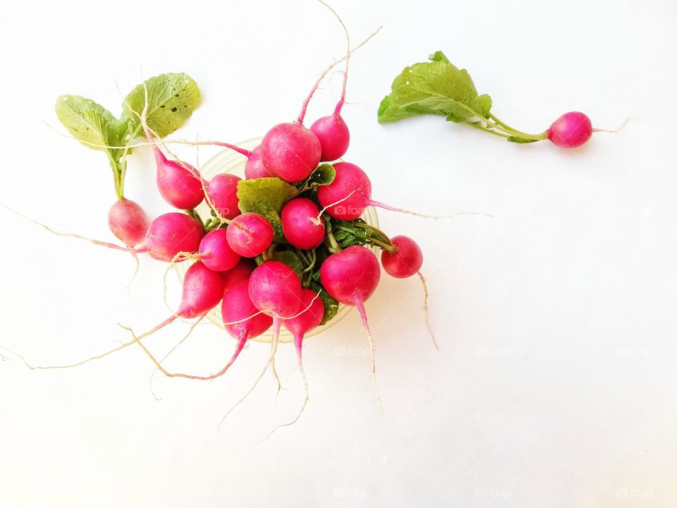 Bouquet of red radishes photographed from above