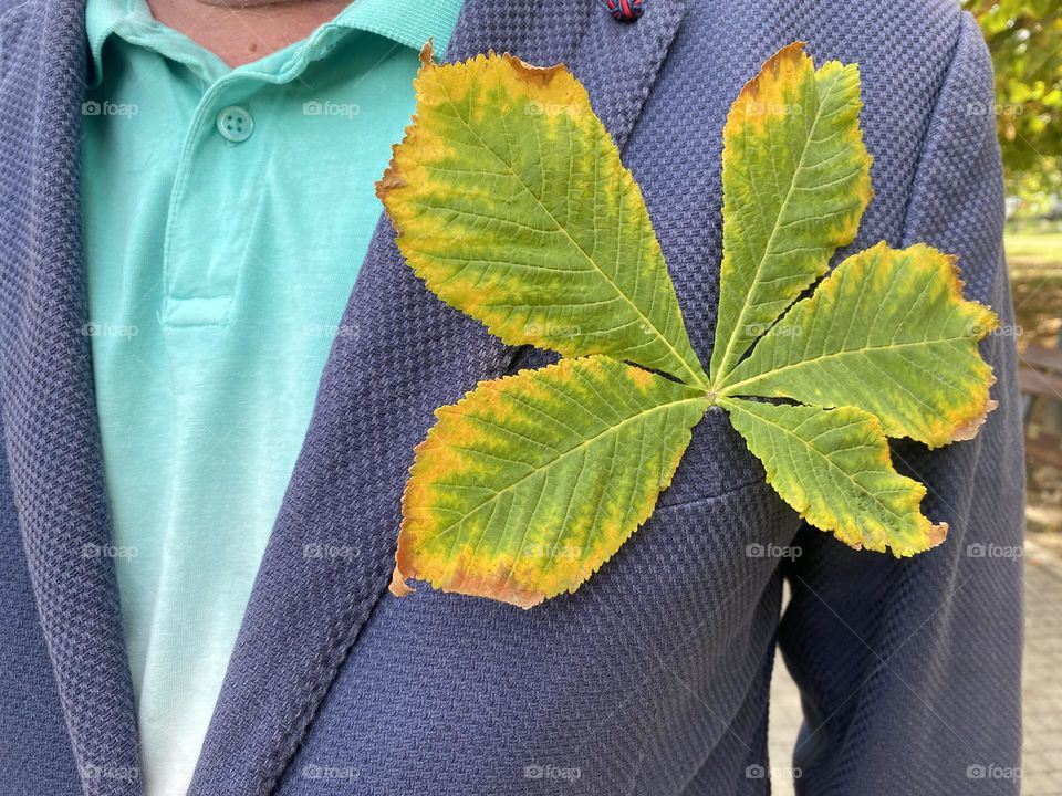 An autumn leaf in a jacket pocket 
